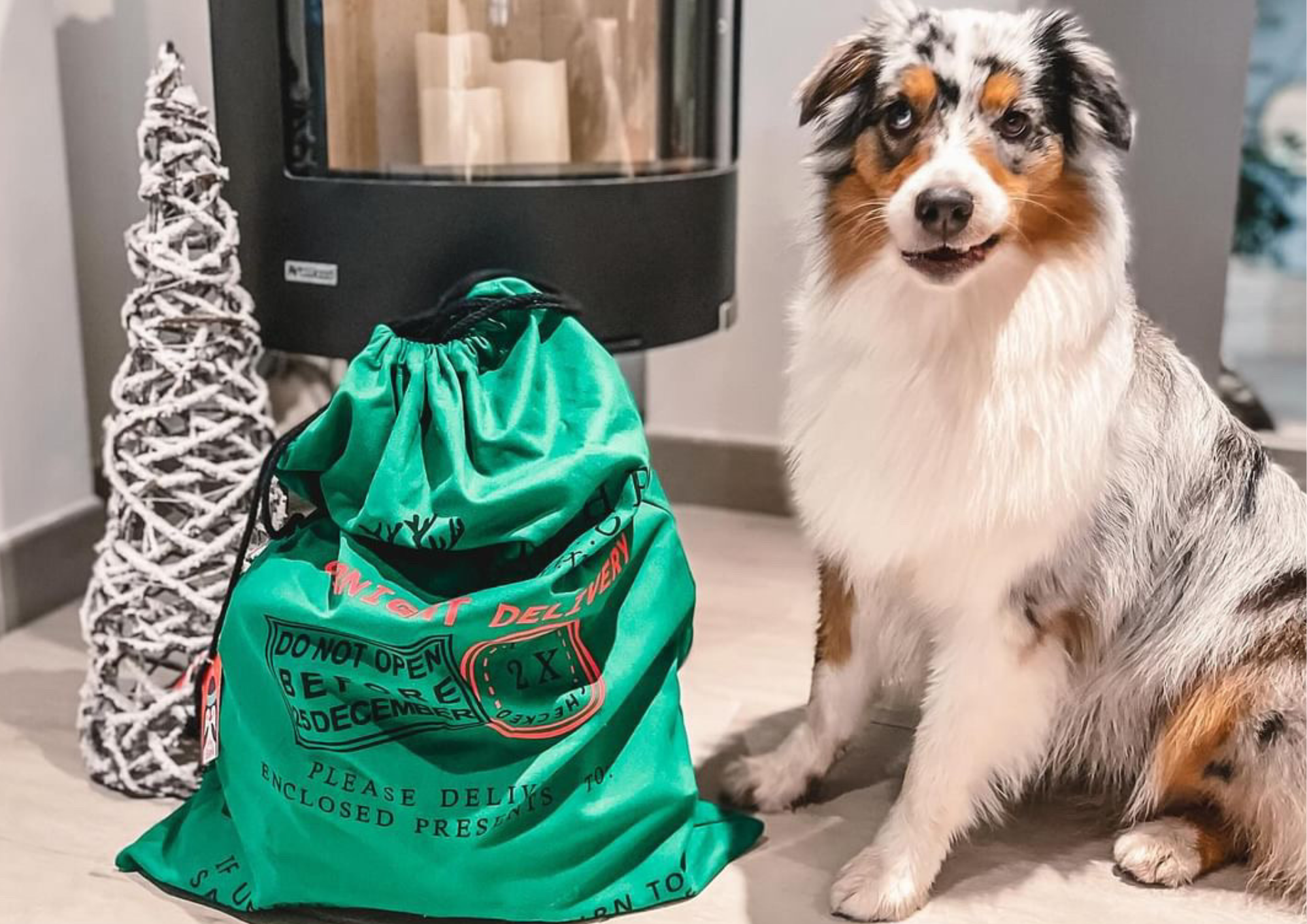 Précommandez Votre Calendrier de l'Avent pour Chiens : Une Hotte de Noël Remplie de Surprises !