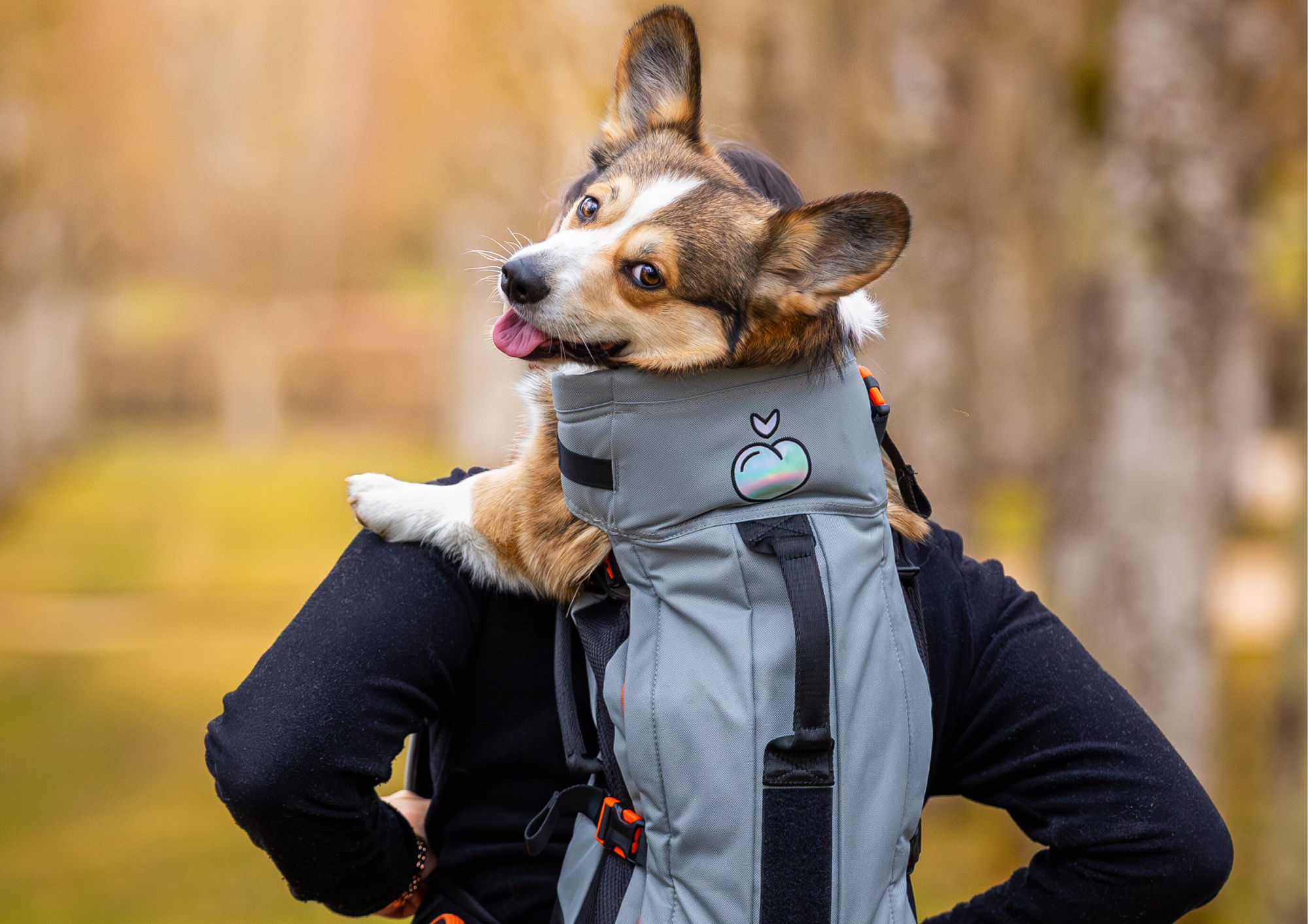 Pourquoi utiliser un sac à dos pour chien ?