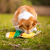Quels jouets emporter pour occuper son chien en vacances ?