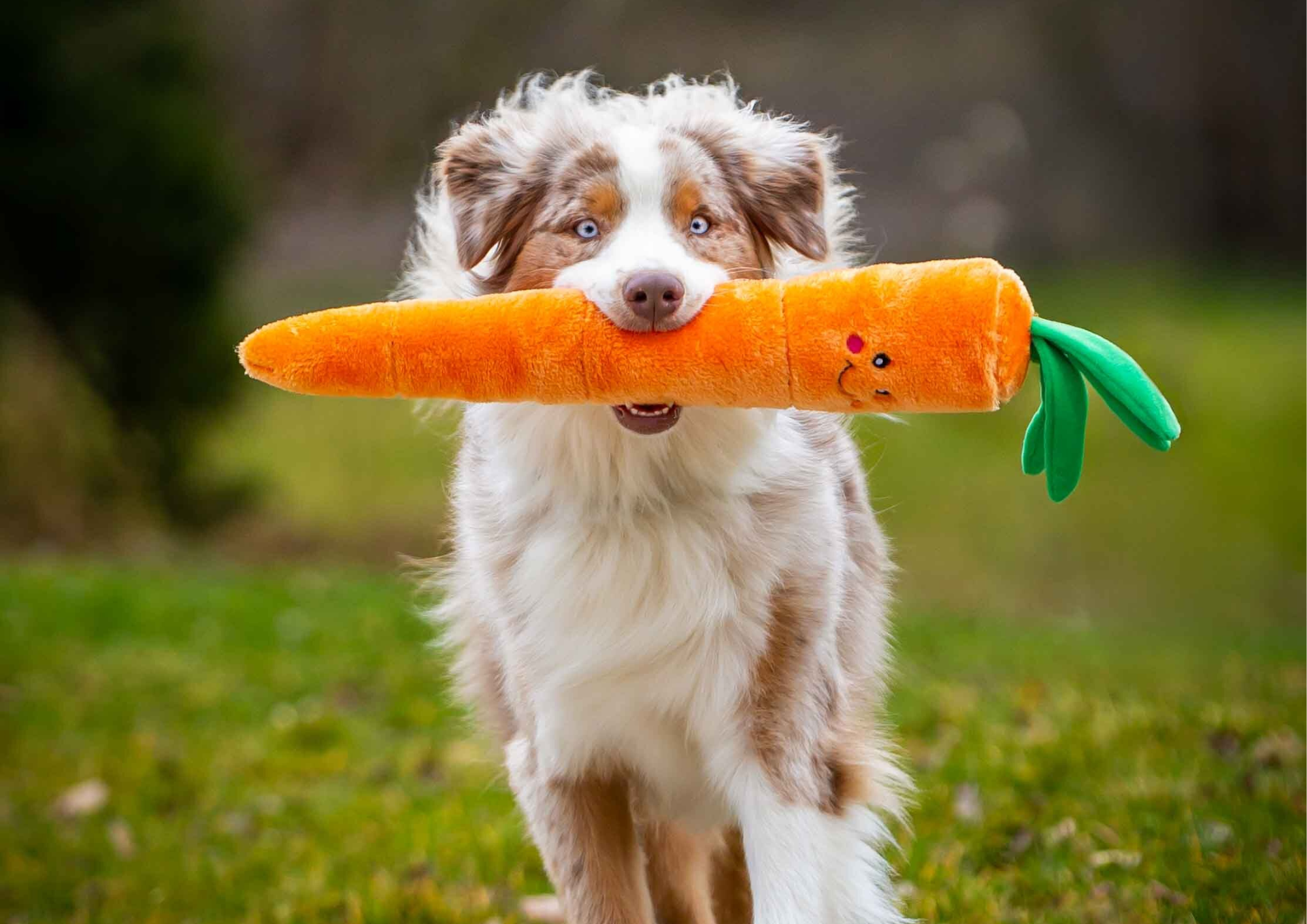 Les peluches qu’on adore pour le printemps chez Loki et Luna