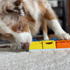 Pawzler : le jeu d’intelligence qui fait réfléchir et évoluer votre chien