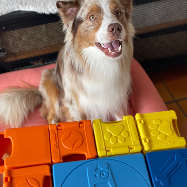 PAWZLER-Beginner Set