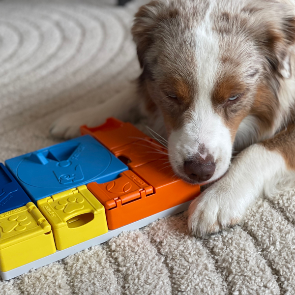 PAWZLER-Beginner Set