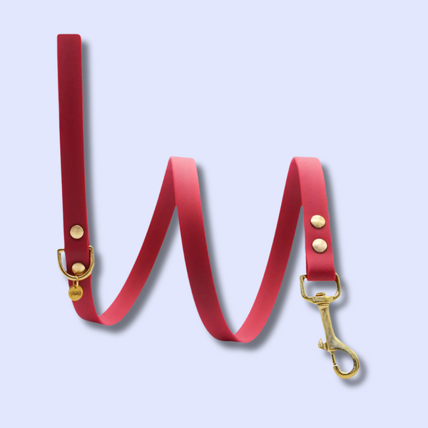 Accessoires - Fidèle Paris - Laisse Simple Ou Multi-Position