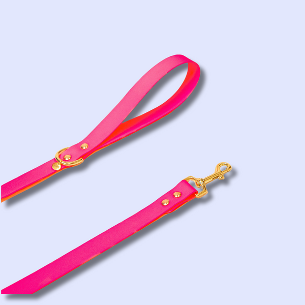 Accessoires - Fidèle Paris - Laisse Simple Ou Multi-Position
