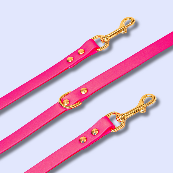 Accessoires - Fidèle Paris - Laisse Simple Ou Multi-Position