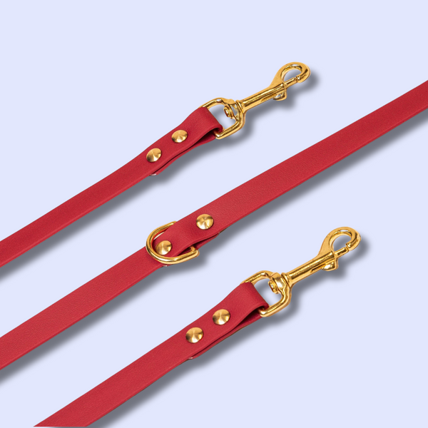 Accessoires - Fidèle Paris - Laisse Simple Ou Multi-Position