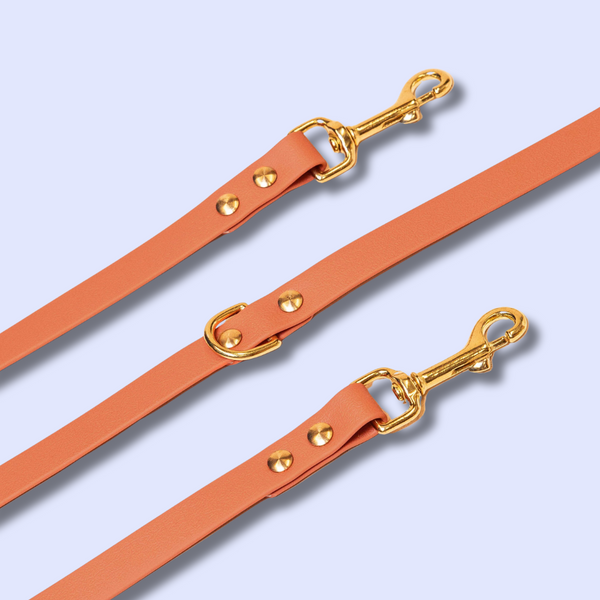 Accessoires - Fidèle Paris - Laisse Simple Ou Multi-Position