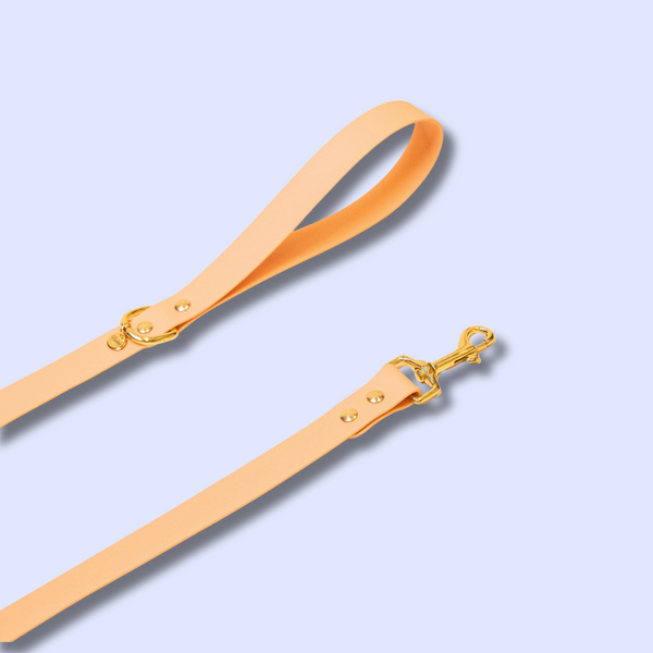 Accessoires - Fidèle Paris - Laisse Simple Ou Multi-Position