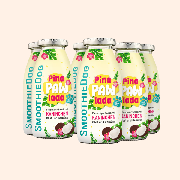SmoothieDog – Smoothie pour chiens Pina Paw Lada – 250 mL