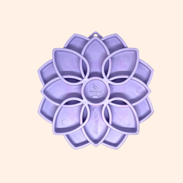 Plateau d'enrichissement Mandala couleurs pastel