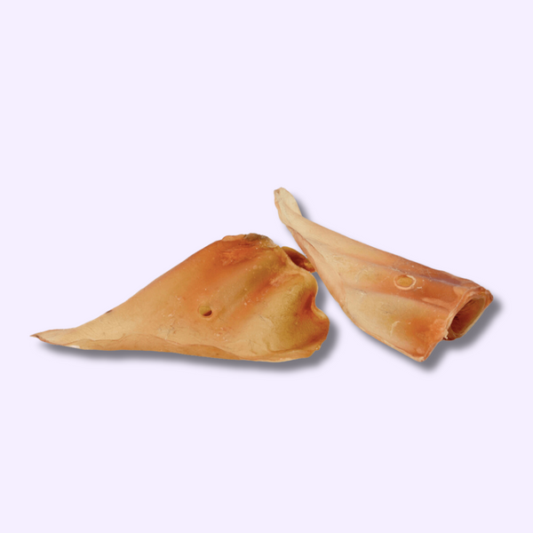 mastication- Oreilles de Bœuf pour chien- 5piéces