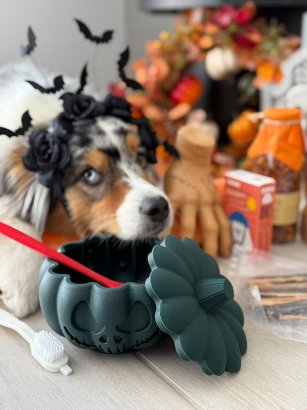 Gamelle Citrouille pour chien – Anti-glouton, jouet à garnir & tapis de léchage