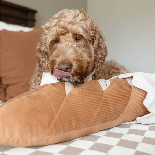 peluche de fouille- Baguette Géante – Jouet d’Enrichissement XXL- PRÉCOMMANDE