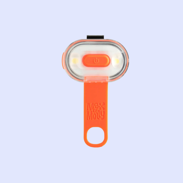 Matrix Ultra LED – Lampe de sécurité pour chien