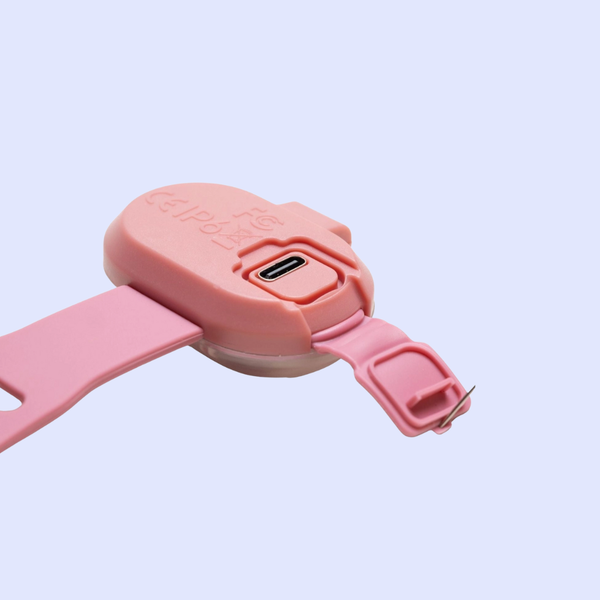 Matrix 2.0 Ultra LED – Lumière de sécurité pour chien