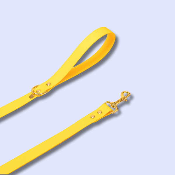 Accessoires - Fidèle Paris - Laisse Simple Ou Multi-Position