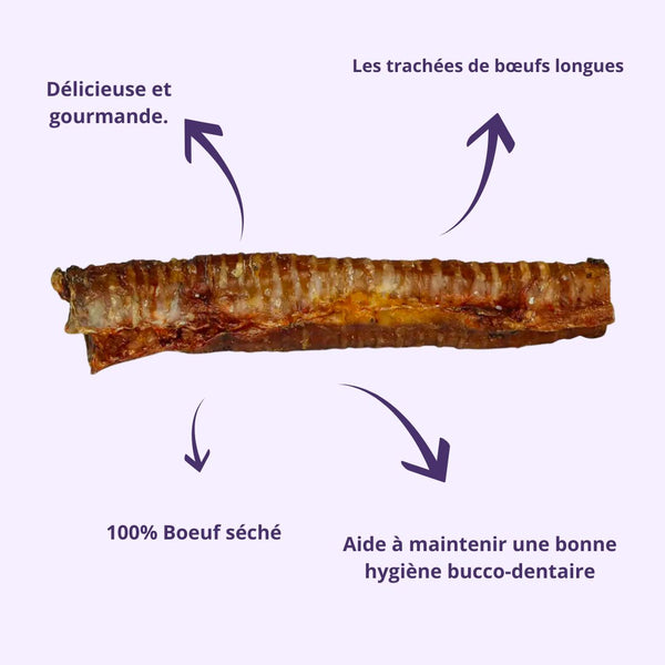 Friandises Naturelles - Trachée De Boeuf Longues 30 Cm - 500g