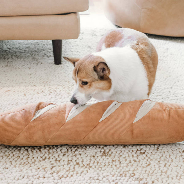 peluche de fouille- Baguette Géante – Jouet d’Enrichissement XXL- PRÉCOMMANDE