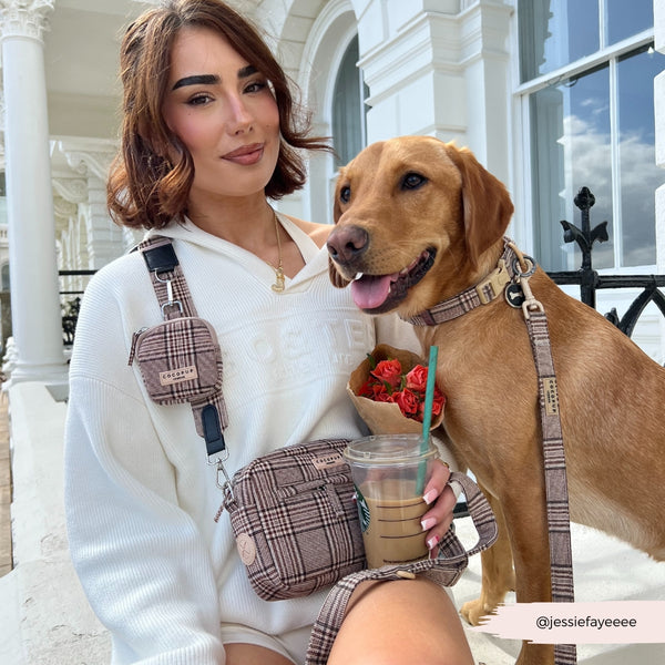 Sac de promenade pour chien — Pup Plaid (sangle incluse)