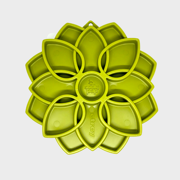 Plateau d'enrichissement Mandala