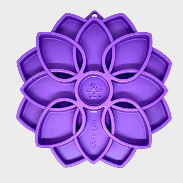 Plateau d'enrichissement Mandala