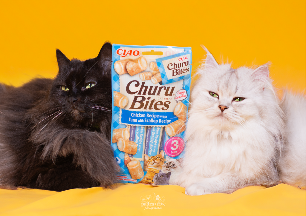 Les Avantages des Churu pour Chats : Une Gourmandise Irrésistible