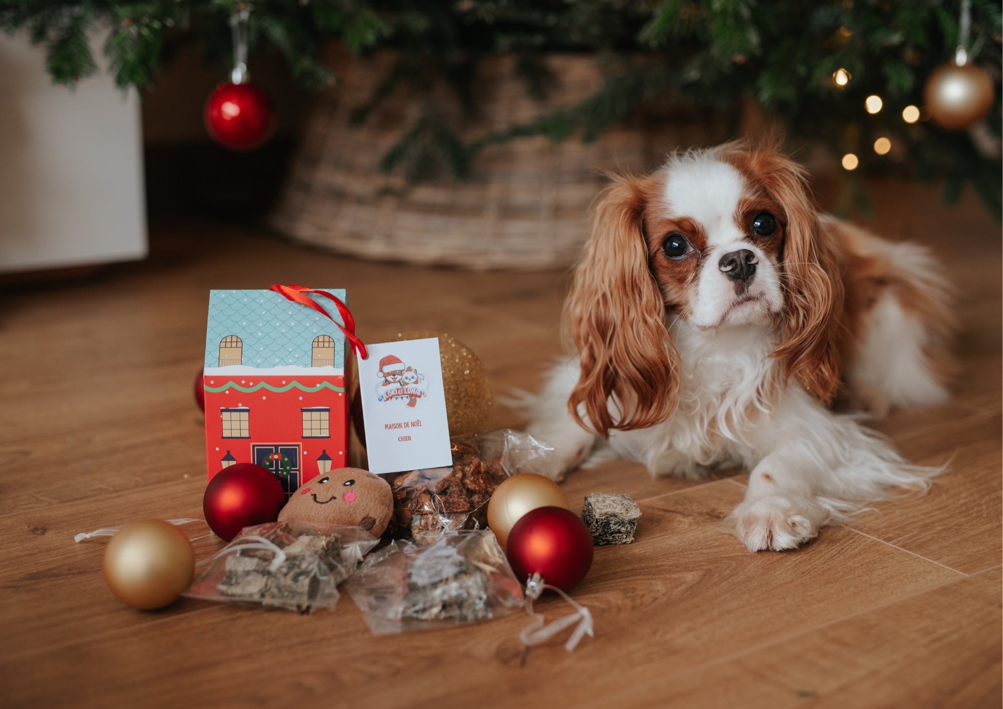 Que Offrir à des Amis Qui Ont des Chiens : Idées de Cadeaux Pensés pour Leur Compagnon à Quatre Pattes