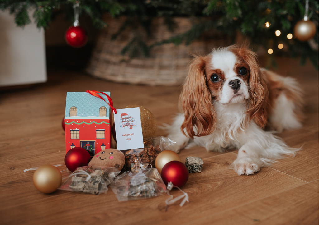 Idées de Cadeaux à Offrir à Ceux Qui Ont des Chiens : Maison de Noël, Cracker, et Accessoires Stylés pour Dog Mom