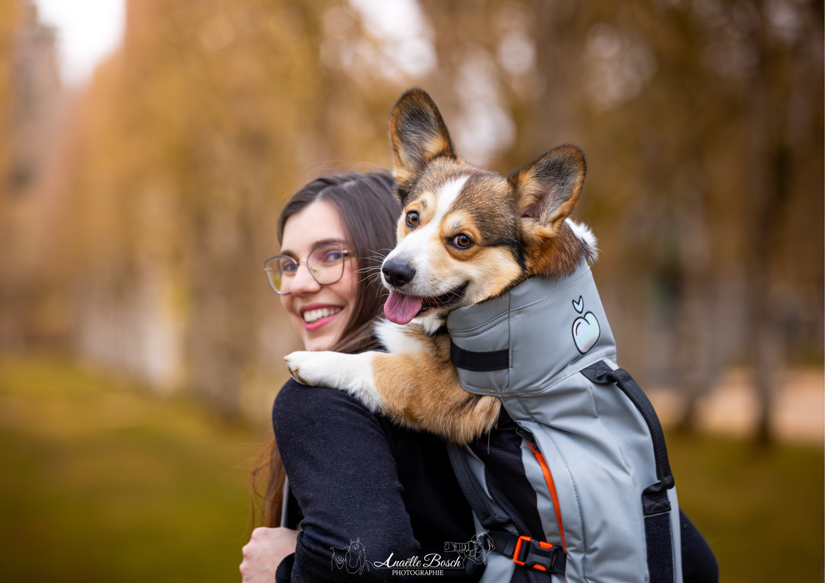 Sacs à dos Little Chonk : l’accessoire indispensable pour les chiens citadins et baroudeurs