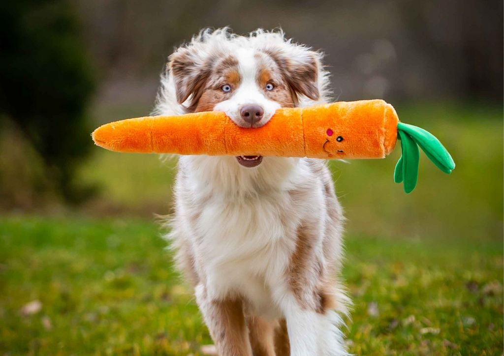 Les peluches qu’on adore pour le printemps chez Loki et Luna