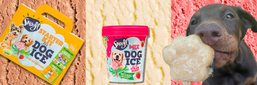 Les Glaces Smoofl pour Chiens : Une Friandise Rafraîchissante et Saine