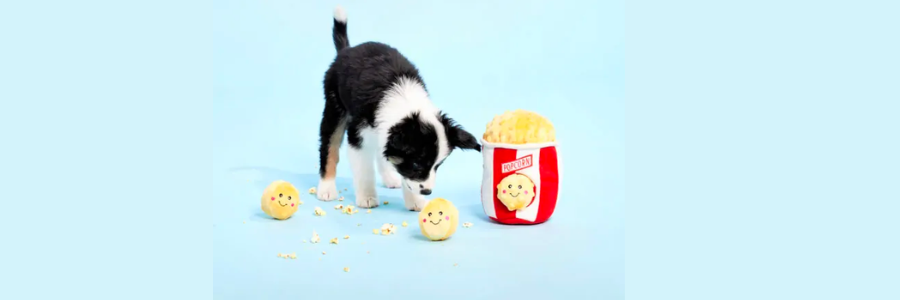 Les avantages des peluches de flair pour chien
