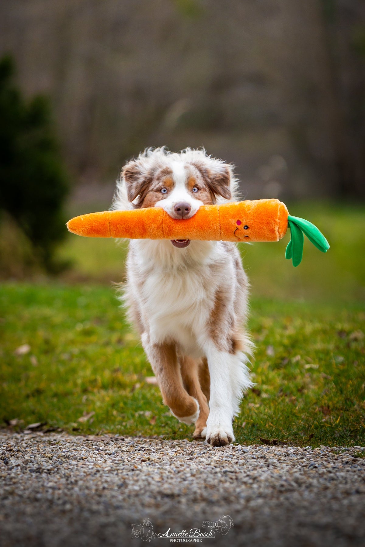 Jouets