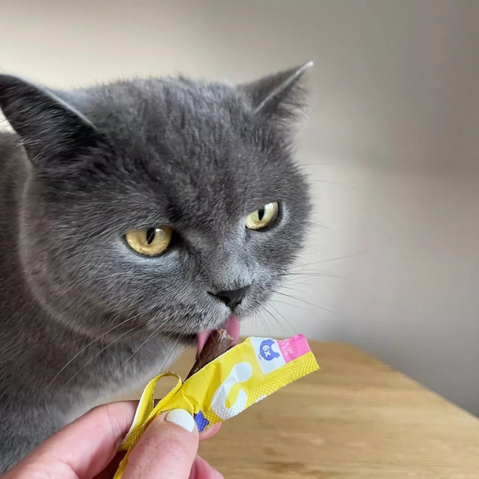 Smoothie pour chat poisson SmoothieCat 150 ml – photo 6