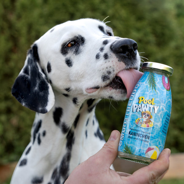 SmoothieDog Pool Pawty – Lapin, Fruits & Noix de Coco – 250 ml