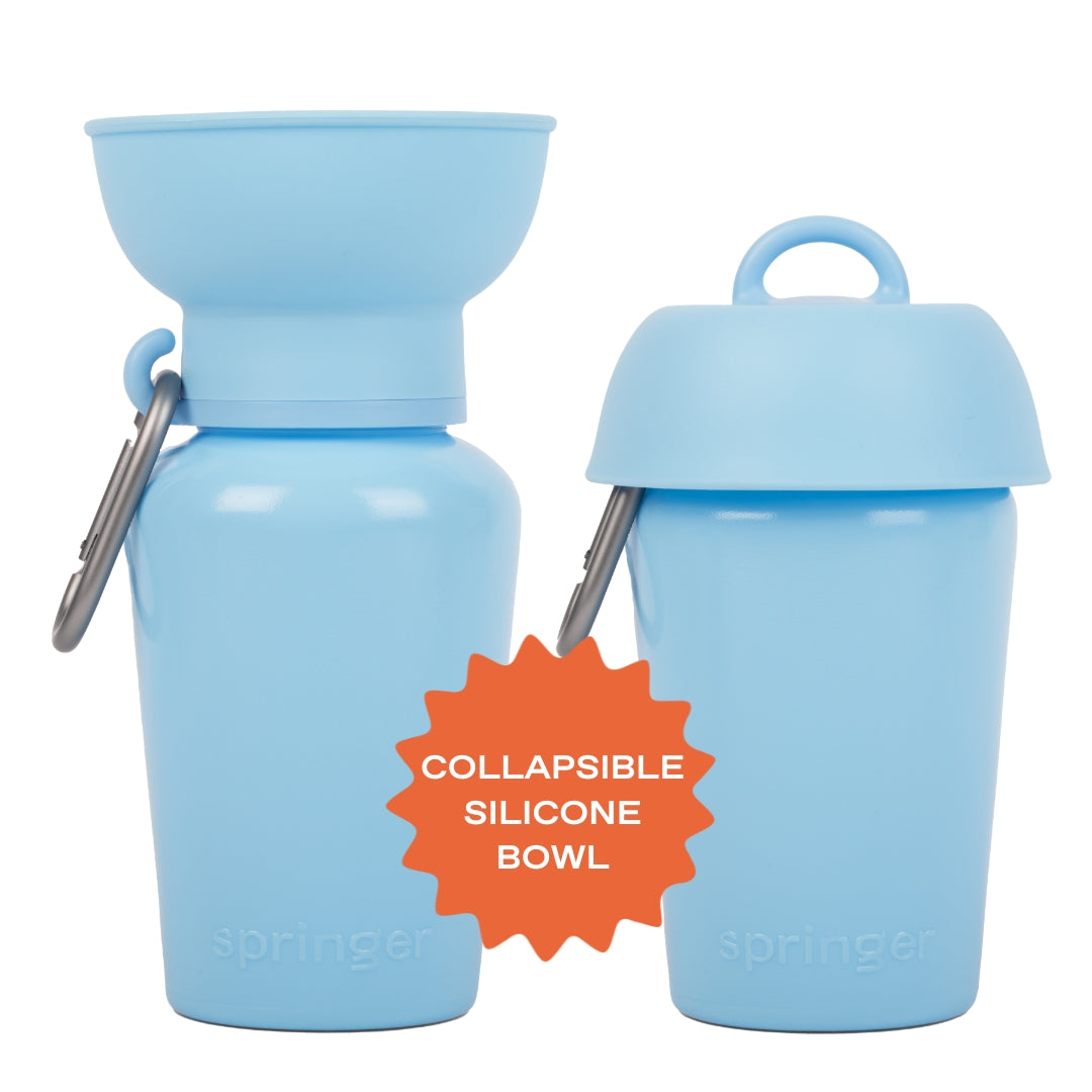 Gourde pour chien avec bol pliable 59 cl – Springer