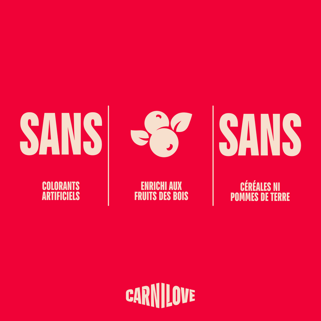 Friandises Carnilove sans colorants artificiels, sans céréales, enrichies aux fruits des bois
