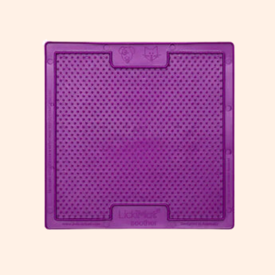Coloris violet du carré à petits picots