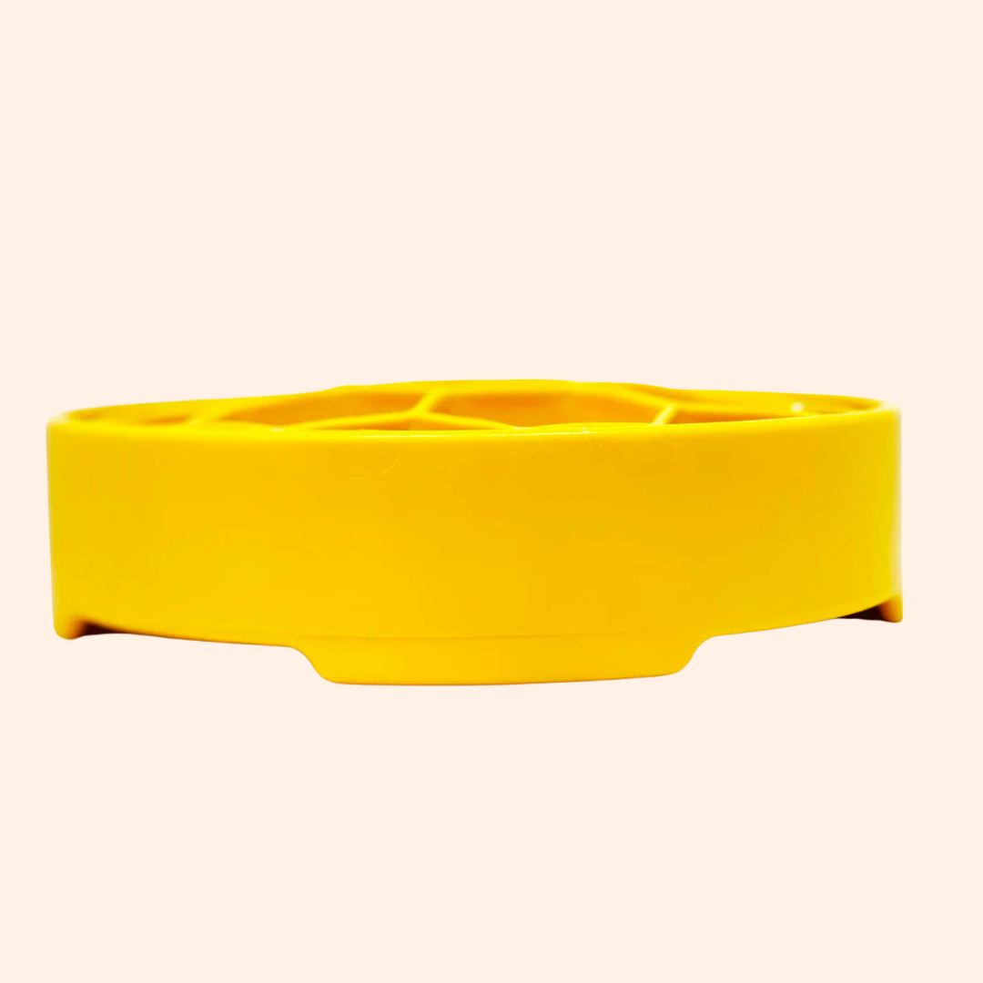 Plateau anti-glouton pour chien & chat Nid d'abeille – SodaPup
