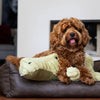 Peluche Quapas ! Alligator XXL — 91 cm