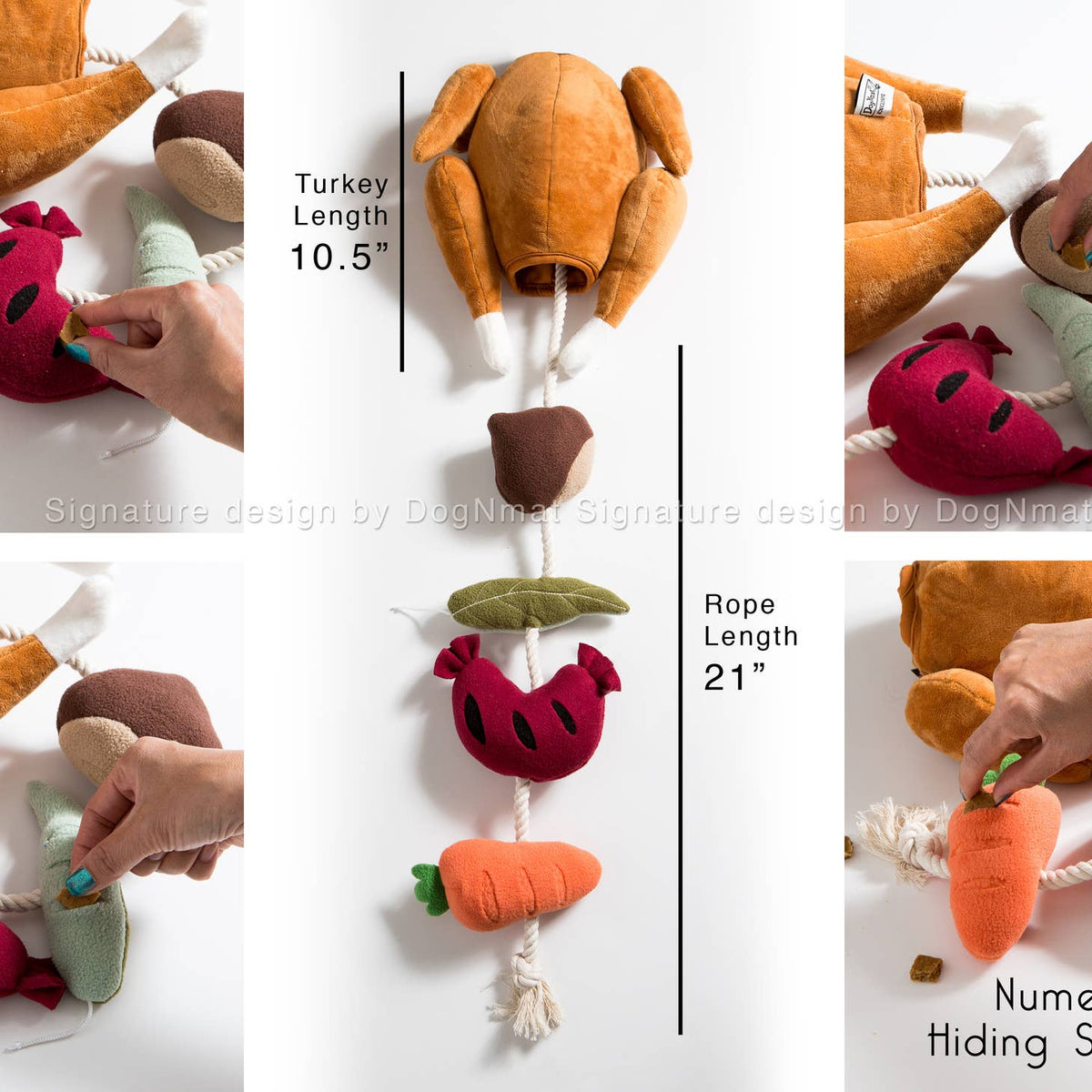 Dimensions de la dinde et des légumes reliés par la corde