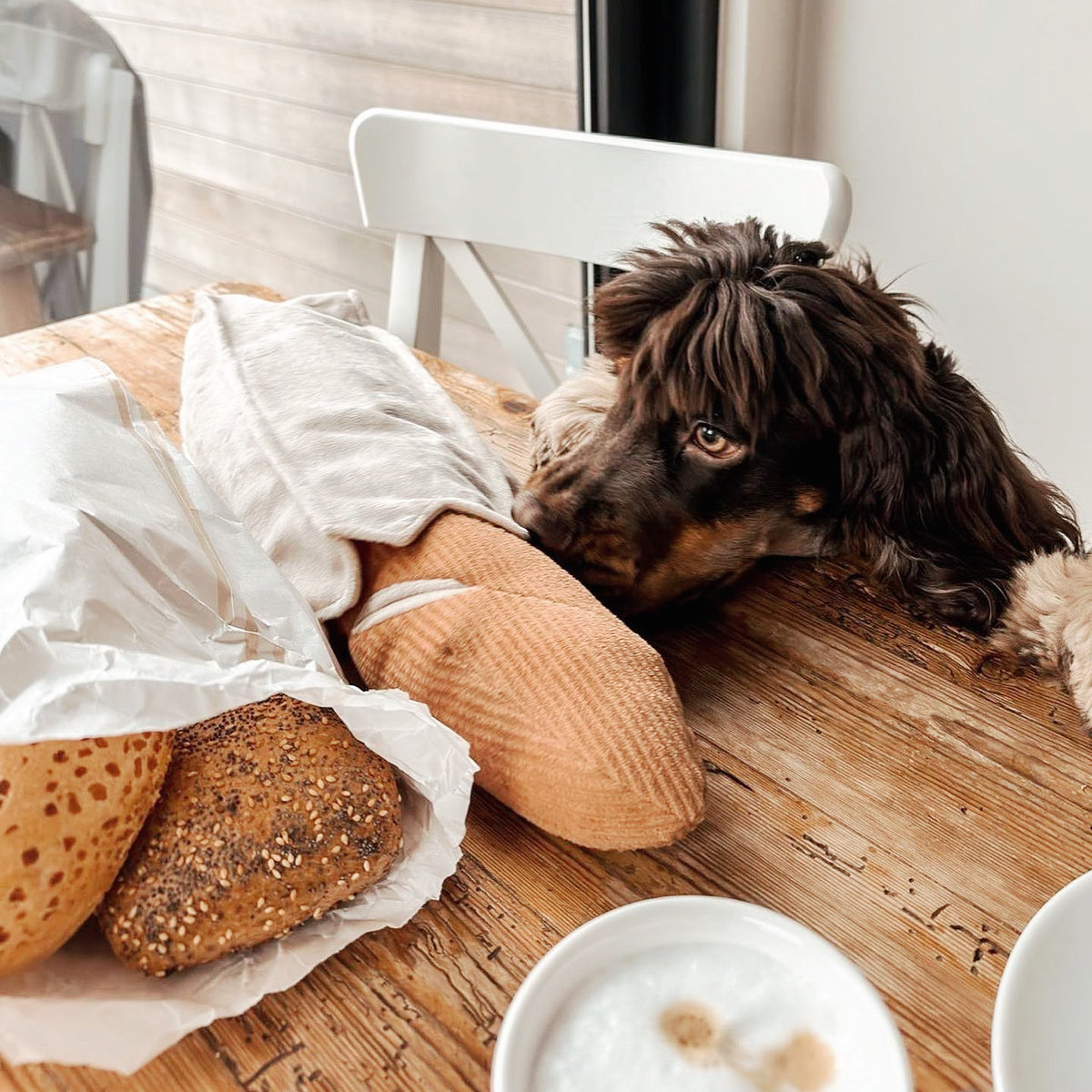 Chien brun couché sur une table près des pains en peluche