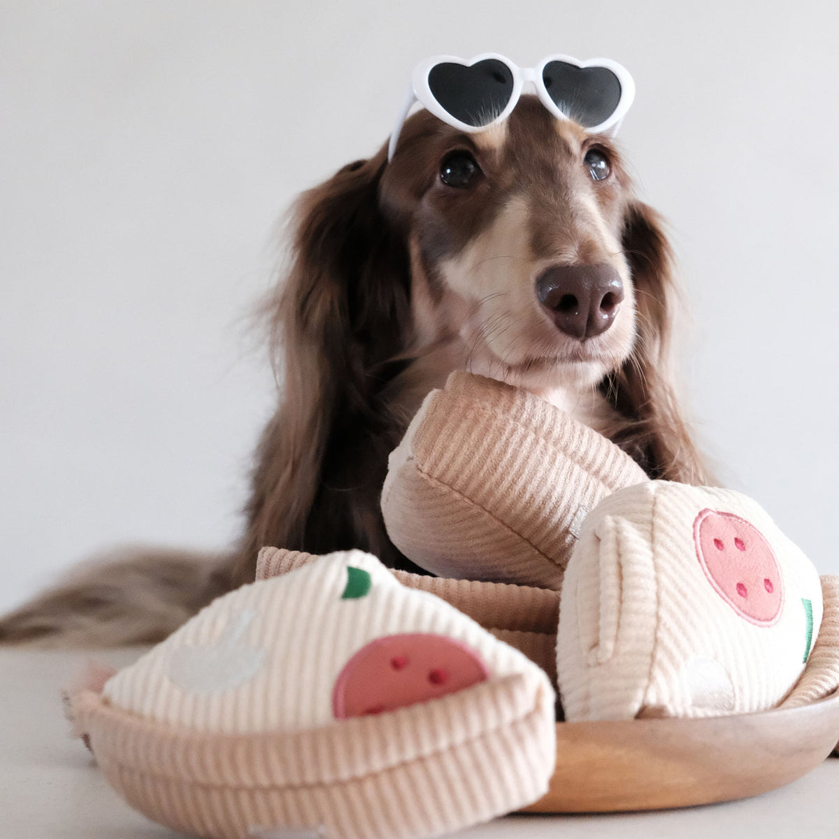 Teckel à lunettes cœur couché sur les parts de pizza