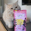 Friandises pour chat croustillantes fourrées au saumon – WOW – 60 g