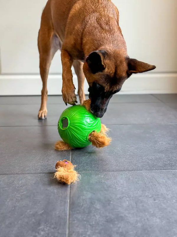 Dog Snuffle N’ Treat Ball – Jouet interactif pour chien Niveau 2