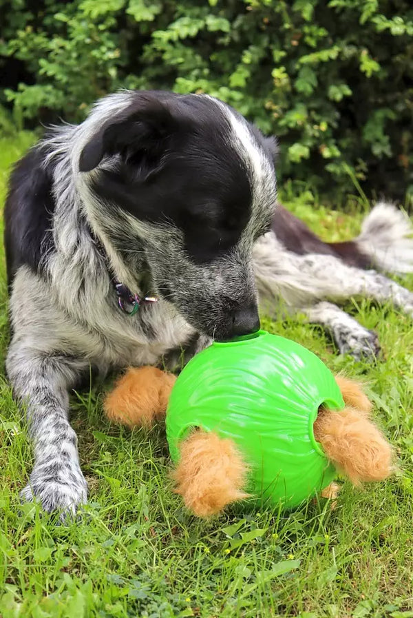 Dog Snuffle N’ Treat Ball – Jouet interactif pour chien Niveau 2
