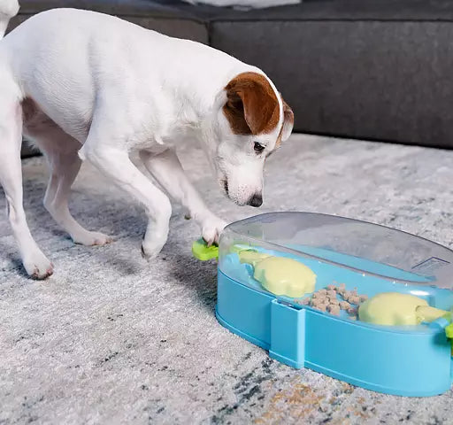 Chien blanc appuyant sur une poignée verte sur un tapis
