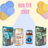 BOX ÉTÉ CHAT — La box gourmande & rafraîchissante pour les chats aventuriers !