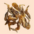 Friandises naturelles- Crevettes entières Spirit of Wild Snack 50g
